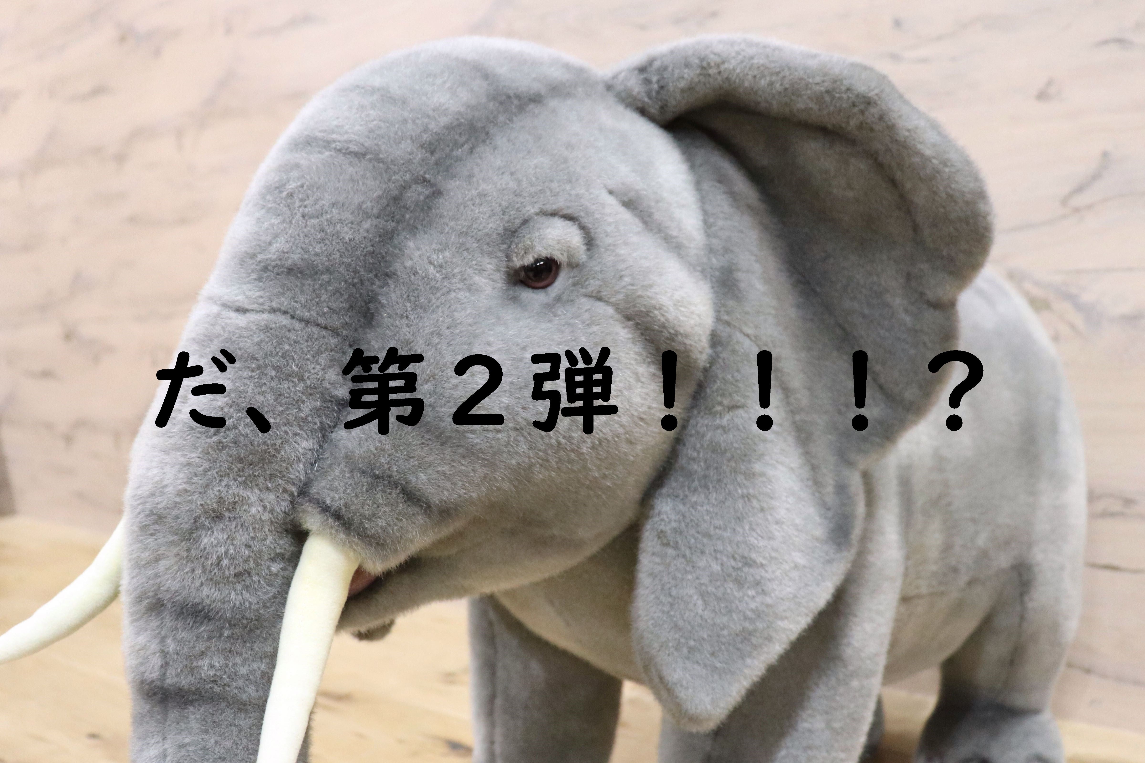 お得な情報 第2弾!!