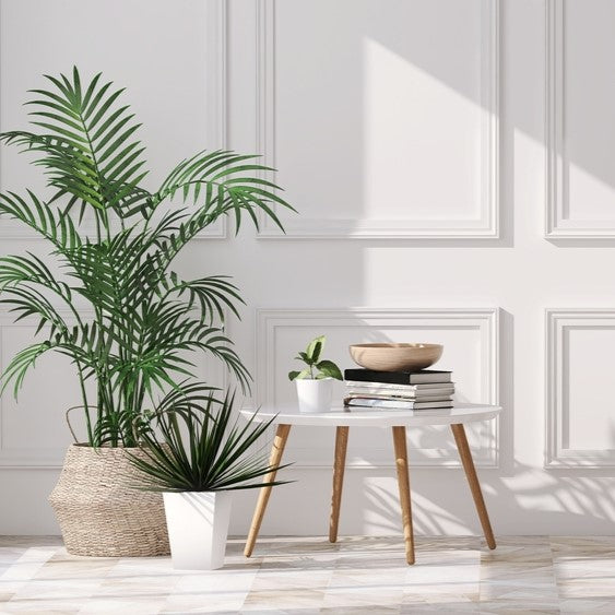 サイドテーブル