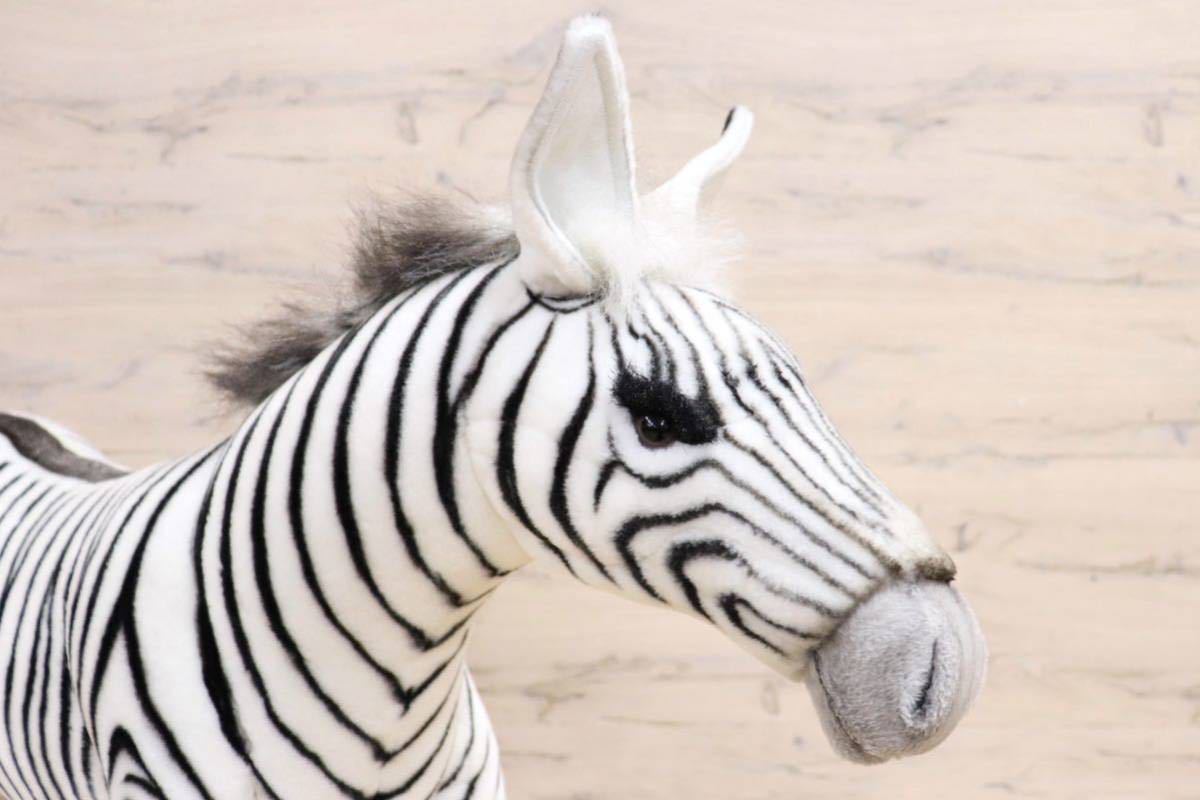 GMGN228C○HANSA / ハンサ シマウマ ぬいぐるみ アニマル オブジェ 小物 リビングインテリア 展示品