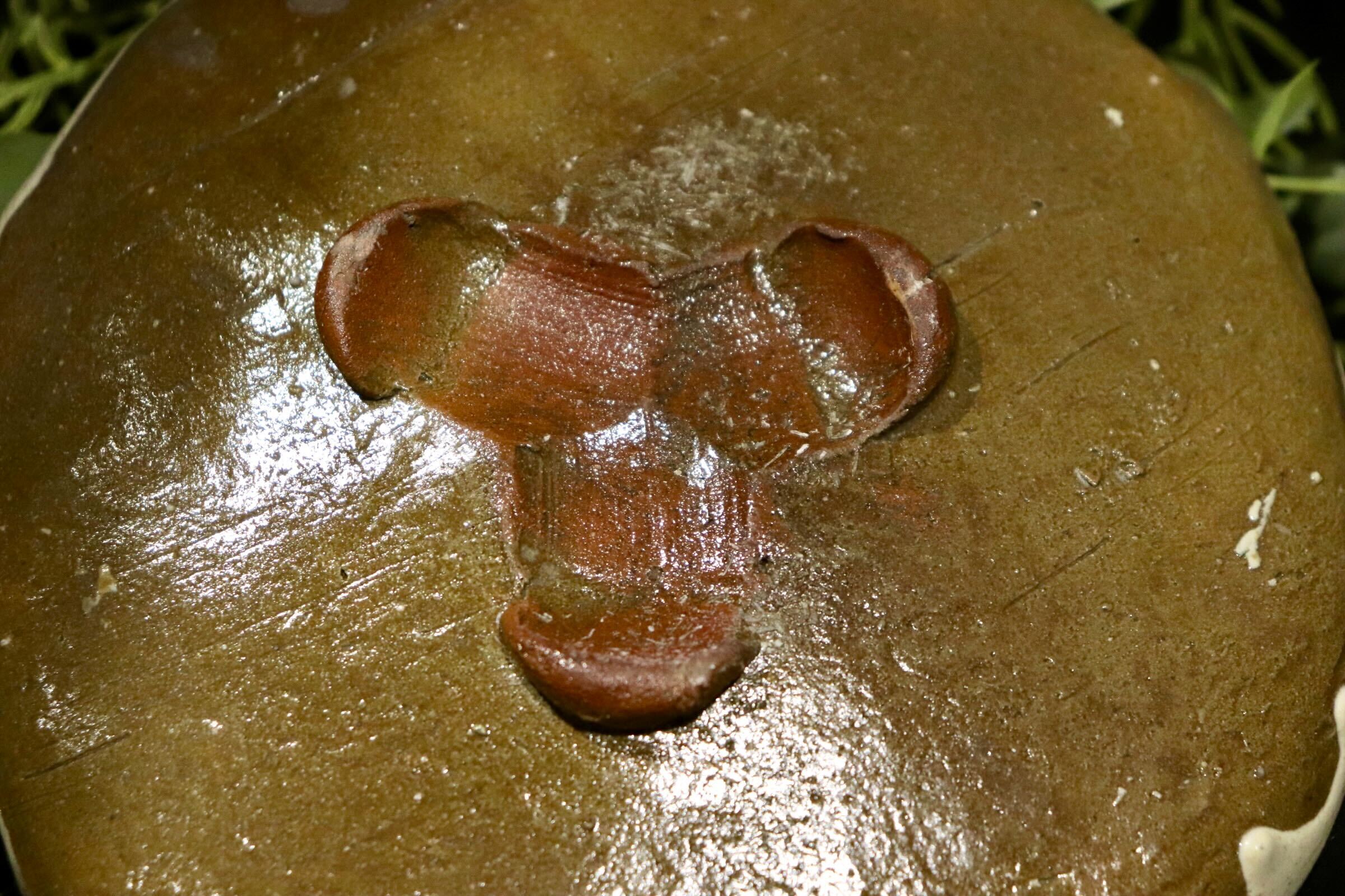 GMIO222D◯丹文窯 丹波焼 陶器 皿 プレート 伝統工芸 丹波篠山 未使用