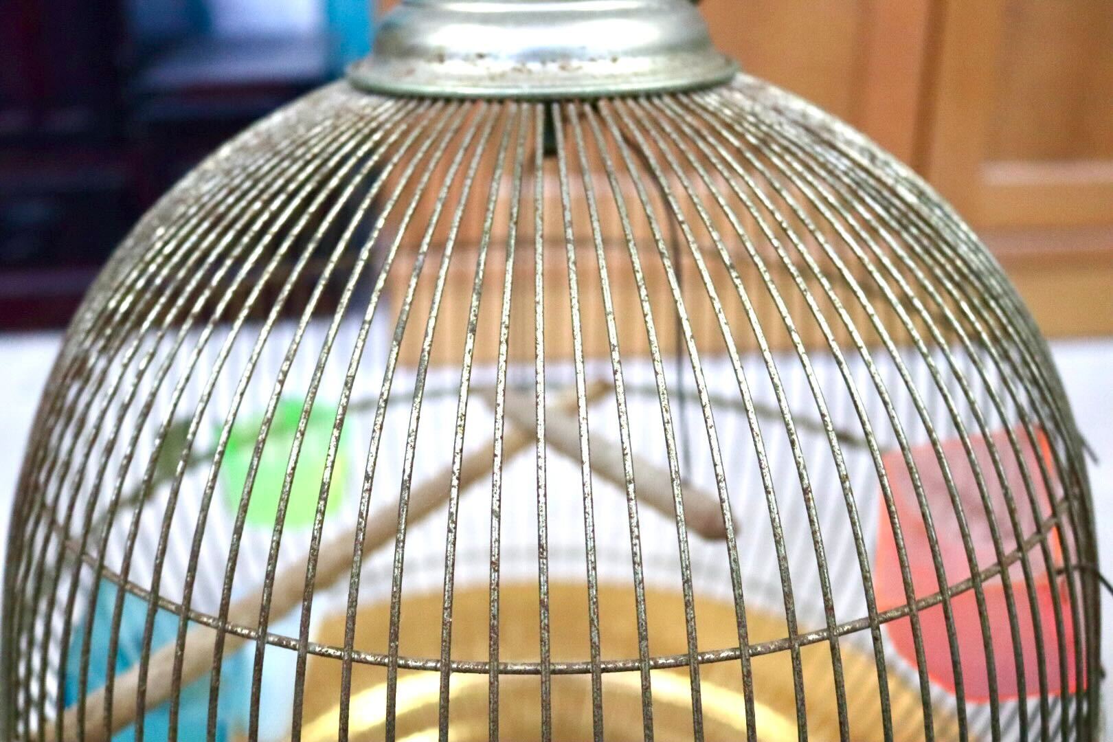 GMIH367B○KINSEN / キンセン 鳥かご 鳥籠 バードゲージ 鳥小屋 丸型 金属製 吊り下げ 昭和 レトロ ヴィンテージ