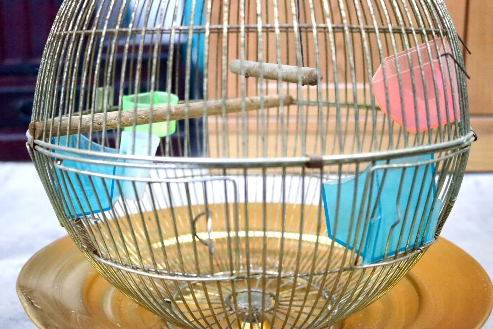 GMIH367B○KINSEN / キンセン 鳥かご 鳥籠 バードゲージ 鳥小屋 丸型 金属製 吊り下げ 昭和 レトロ ヴィンテージ