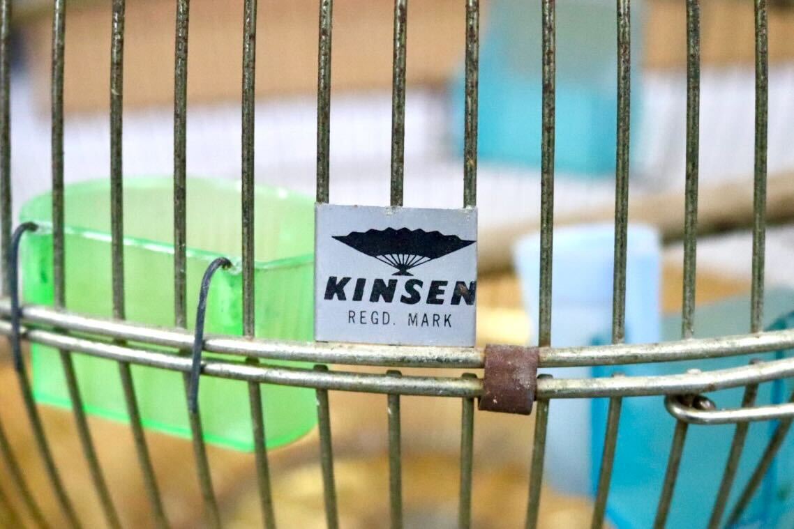 GMIH367B○KINSEN / キンセン 鳥かご 鳥籠 バードゲージ 鳥小屋 丸型 金属製 吊り下げ 昭和 レトロ ヴィンテージ