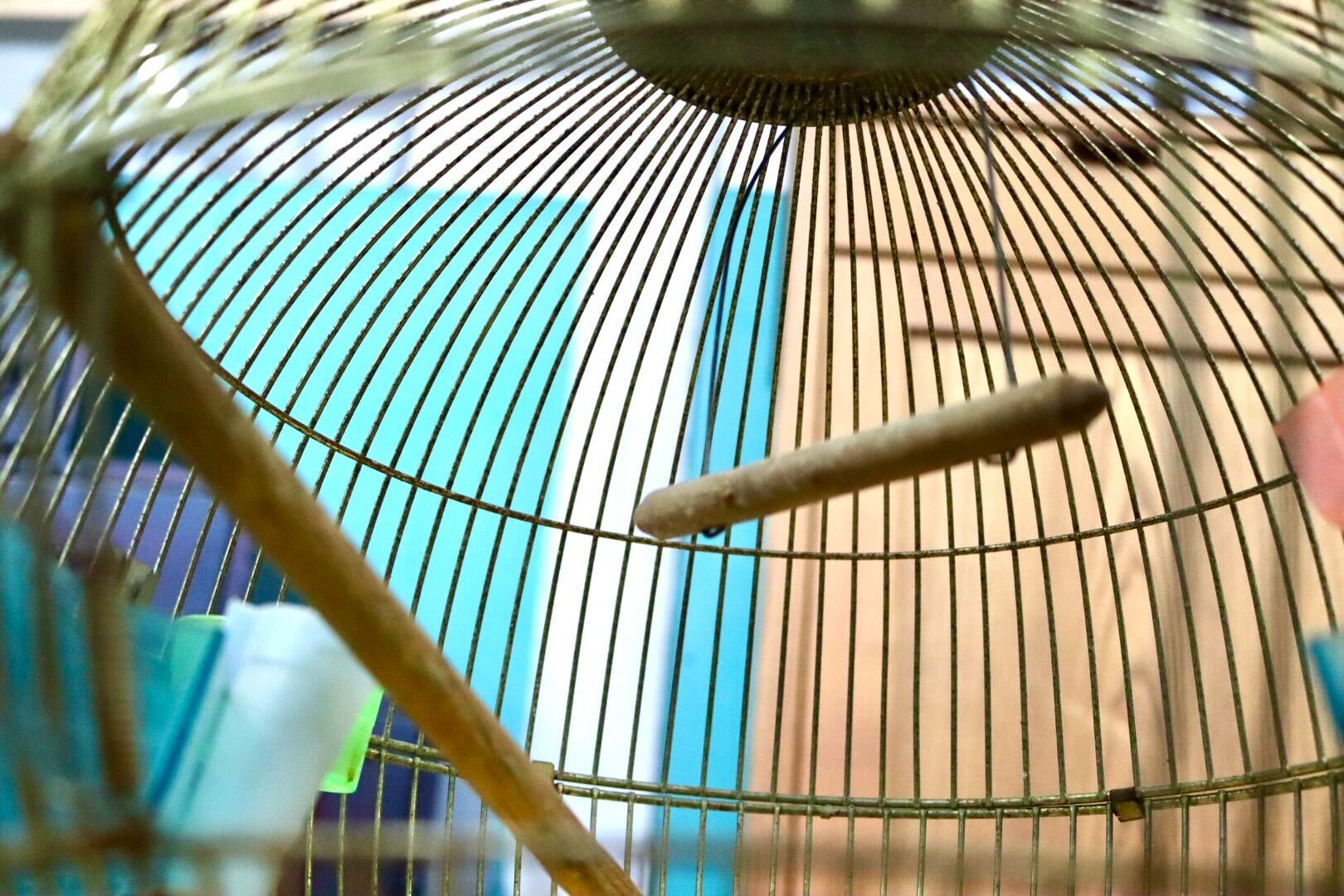 GMIH367B○KINSEN / キンセン 鳥かご 鳥籠 バードゲージ 鳥小屋 丸型 金属製 吊り下げ 昭和 レトロ ヴィンテージ