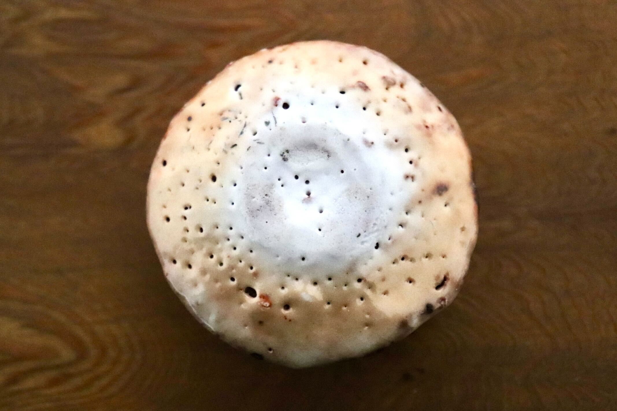 GMIO436B○千代市陶房 清水万佐年 丹波焼 ぐい呑み 酒器 陶器 丹波篠山 伝統工芸 未使用