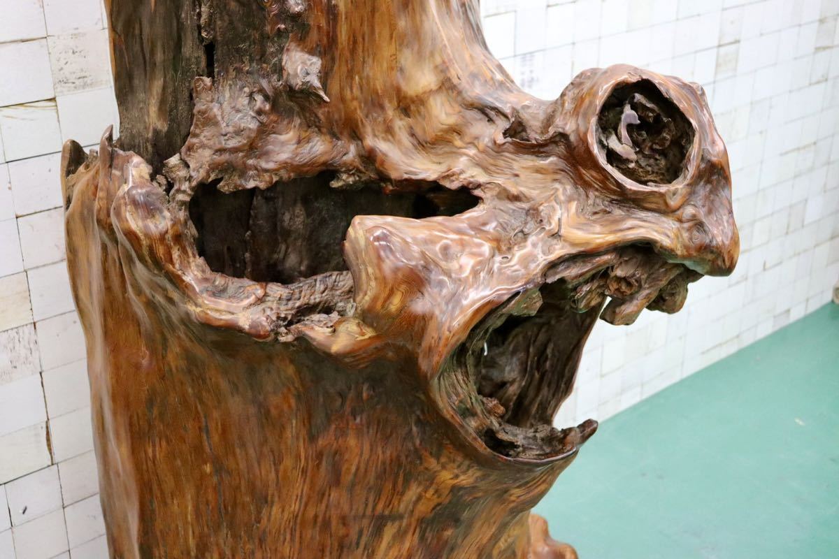 GMFS276○世界遺産屋久杉 無垢 一枚板 衝立 オブジェ 置物 玄関 和室 座敷 伝統工芸 うるし塗り 希少 重厚 定価約400万