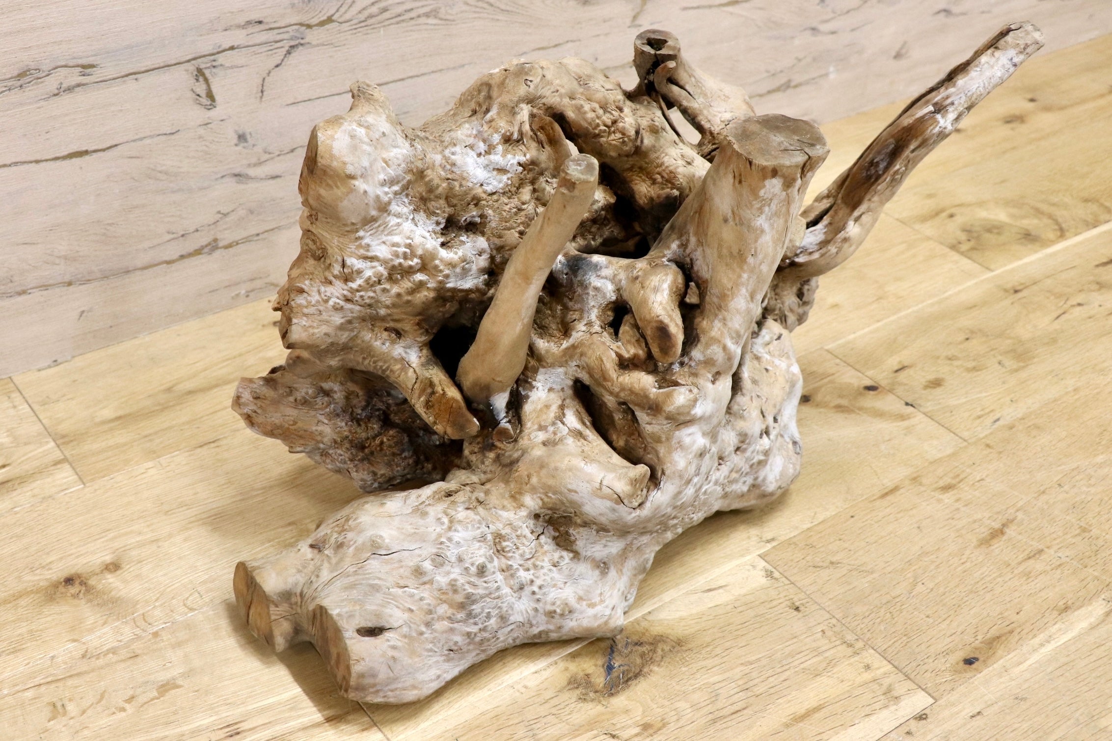 GMJO72L○流木 塊根状 スタンプウッド アクアリウム 爬虫類 テラリウム 水槽レイアウト インテリア オブジェ