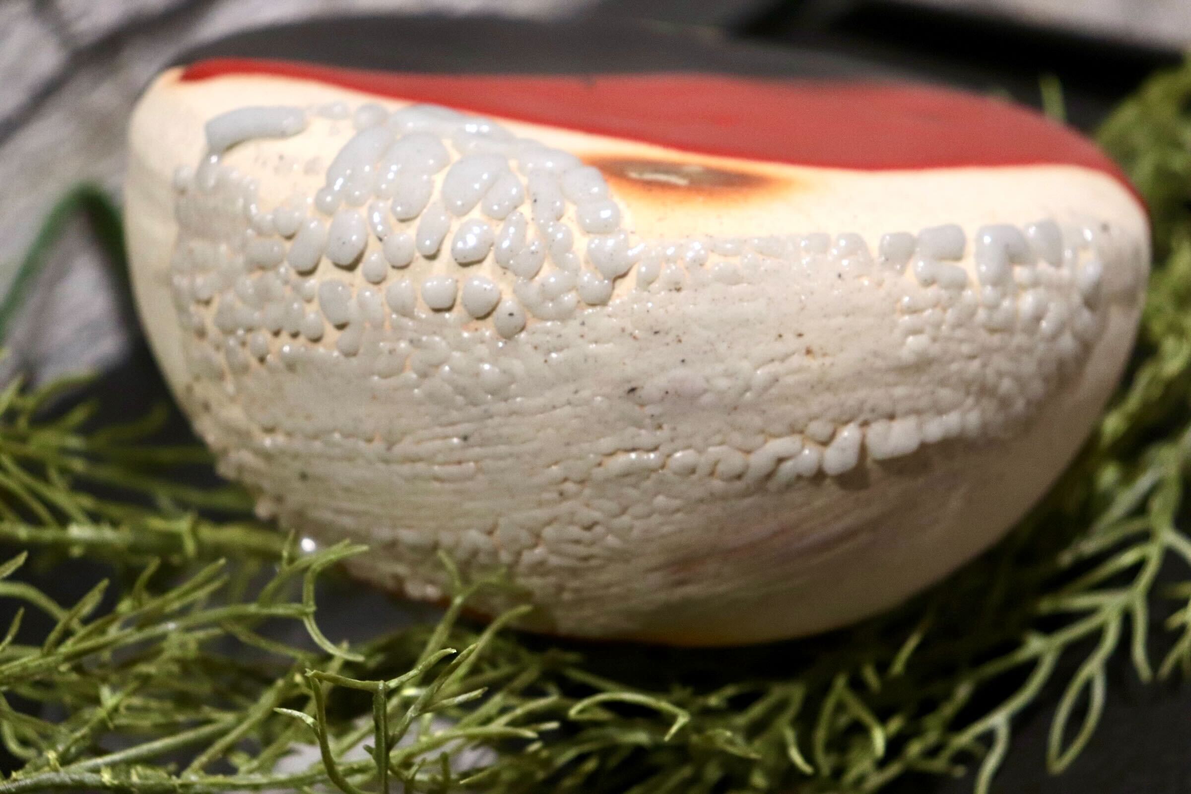 GMIO222H◯丹文窯 丹波焼 陶器 皿 伝統工芸 丹波篠山 未使用