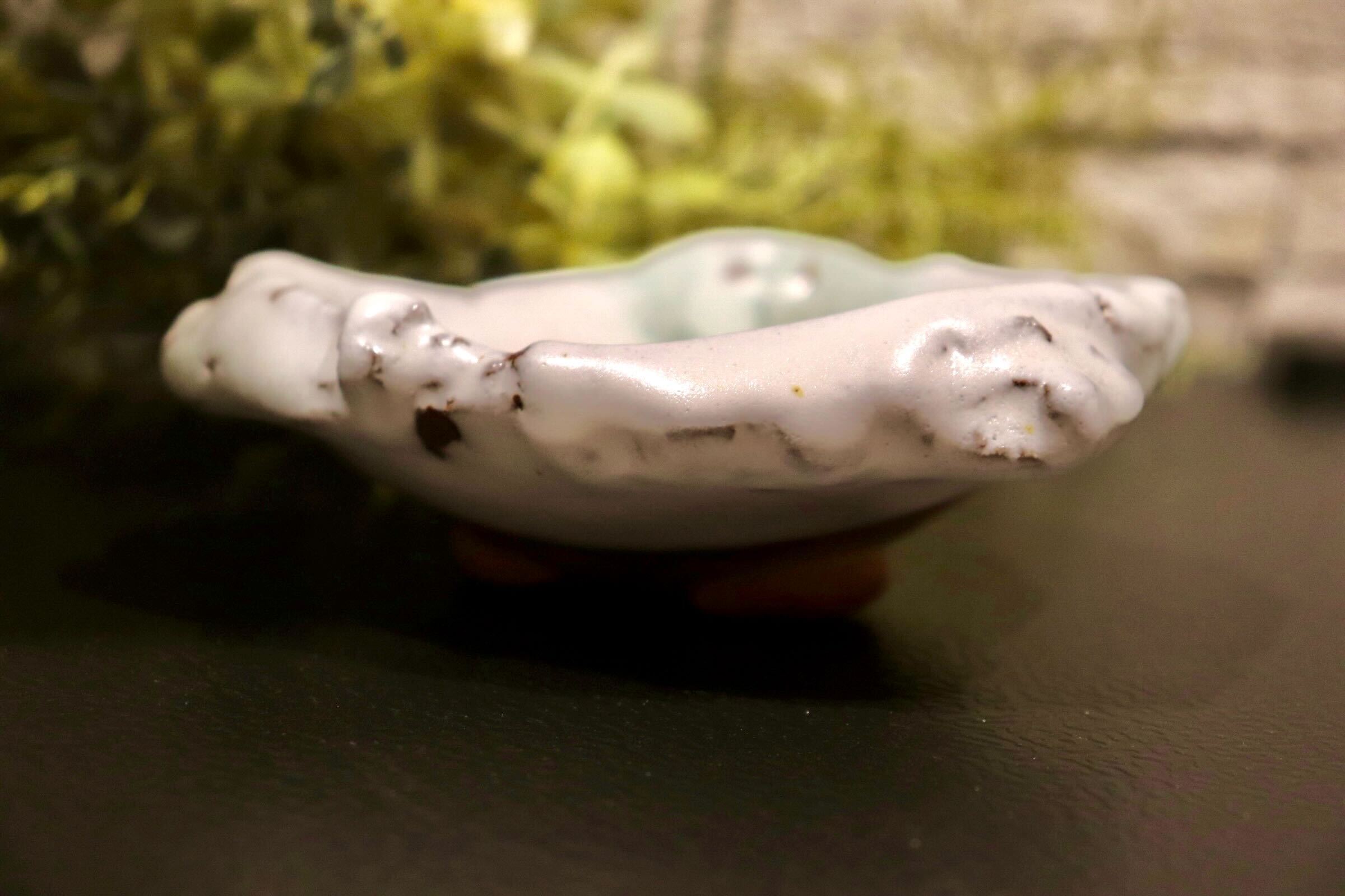 GMIO222AB-B◯丹文窯 丹波焼 丸皿 陶器 皿 伝統工芸 丹波篠山 未使用