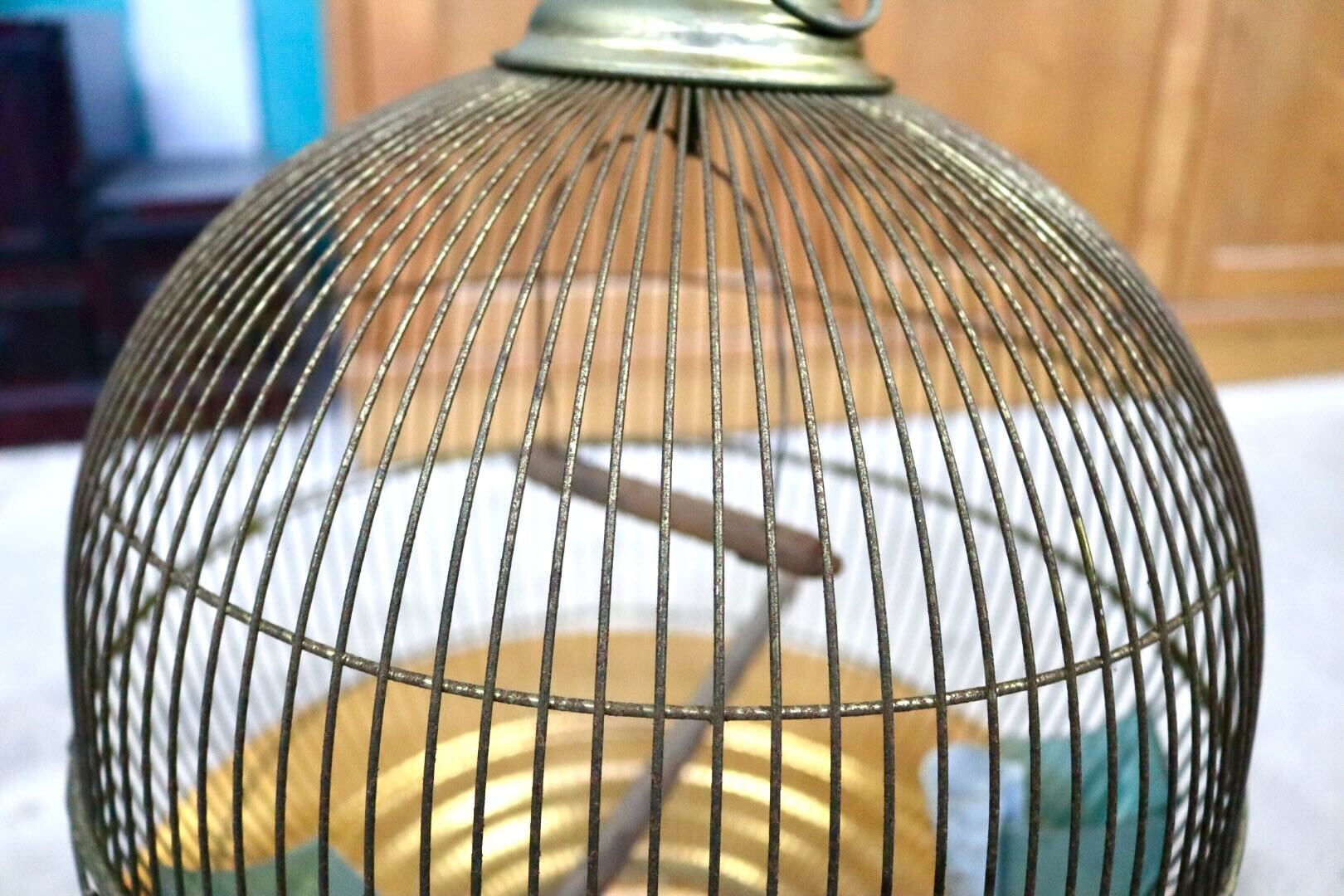 GMIH367A○KINSEN / キンセン 鳥かご 鳥籠 バードゲージ 鳥小屋 丸型 金属製 吊り下げ 昭和 レトロ ヴィンテージ