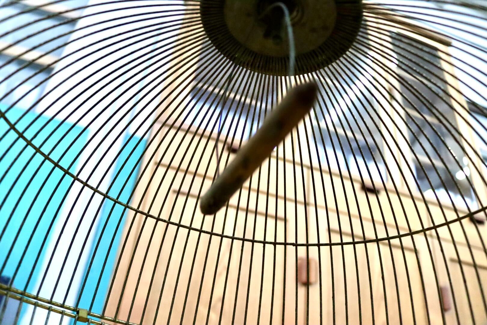 GMIH367A○KINSEN / キンセン 鳥かご 鳥籠 バードゲージ 鳥小屋 丸型 金属製 吊り下げ 昭和 レトロ ヴィンテージ