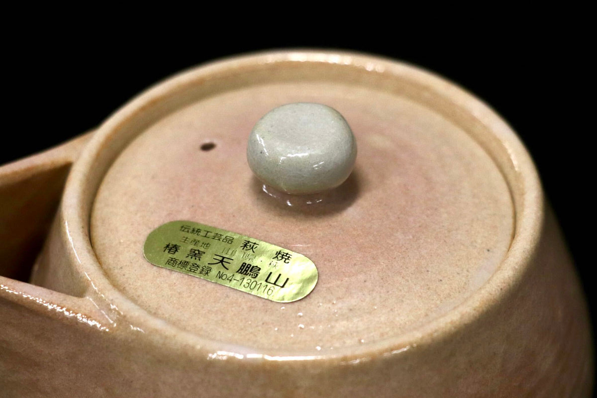 GMJH332AA◯萩焼 椿窯 天鵬山 廣瀬淡雅 急須 横手急須 茶注 煎茶器 煎茶道具 茶器 茶道具 和食器 陶器 在銘 伝統工芸 和モダン